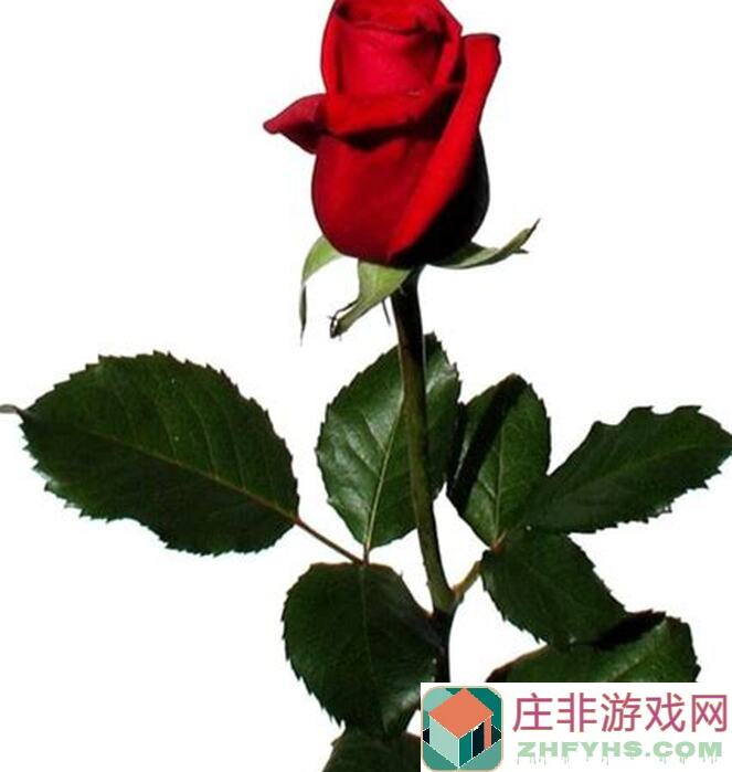 白荆回廊古剑奇谭平行廊同调者战斗手册：刻印战术秒懂攻略