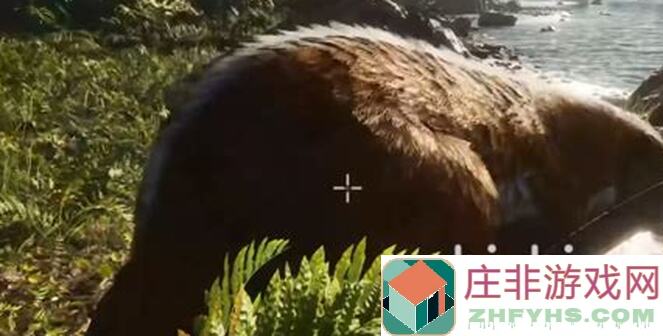 萌新速通流浪方舟全攻略：从零开始秒懂 Survival 生存技巧