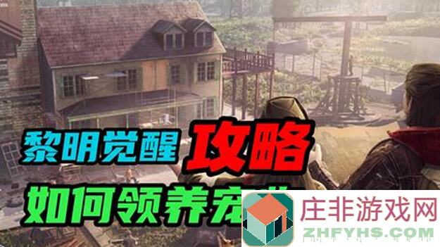 绝了!黎明觉醒:生机竞速与激战荒野狂飙全攻略,带你秒变战神!