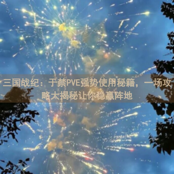 三国战纪：于禁PVE强势使用秘籍，一场攻略大揭秘让你稳赢阵地