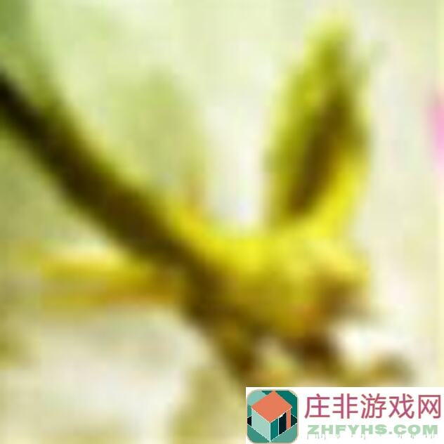 大侠立志传无名小村攻略全解析：新手必看，快速升级无难度！