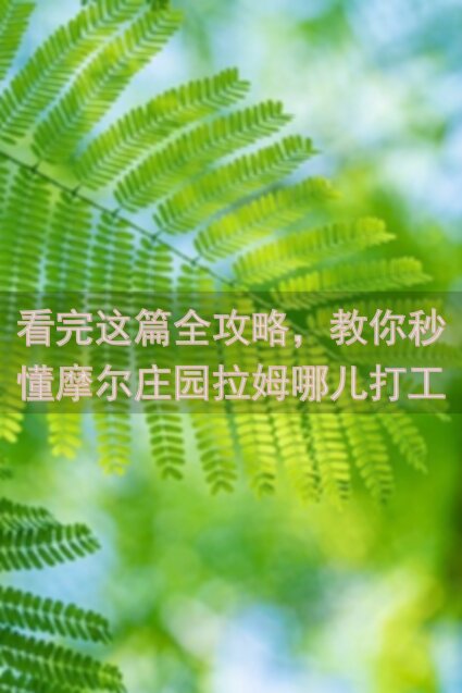 看完这篇全攻略，教你秒懂摩尔庄园拉姆哪儿打工最赚！